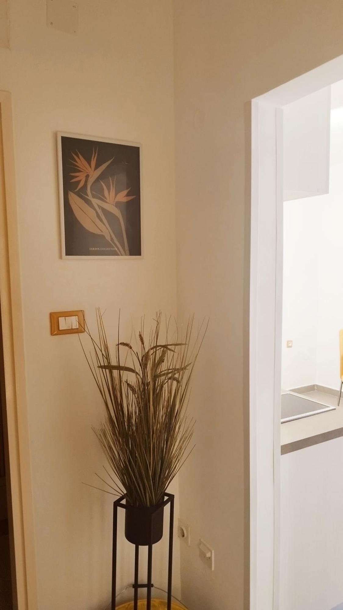 Apartment Sandra Rabac Dış mekan fotoğraf